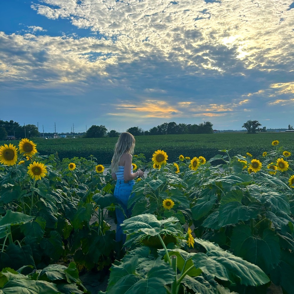 Meet your Posher, Alexis